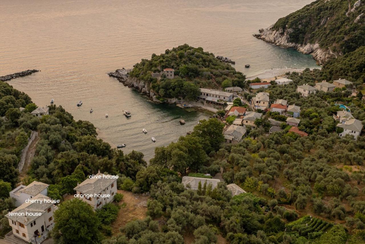 Olive House In Damouchari With A Sea View - Delicious Houses Luaran gambar