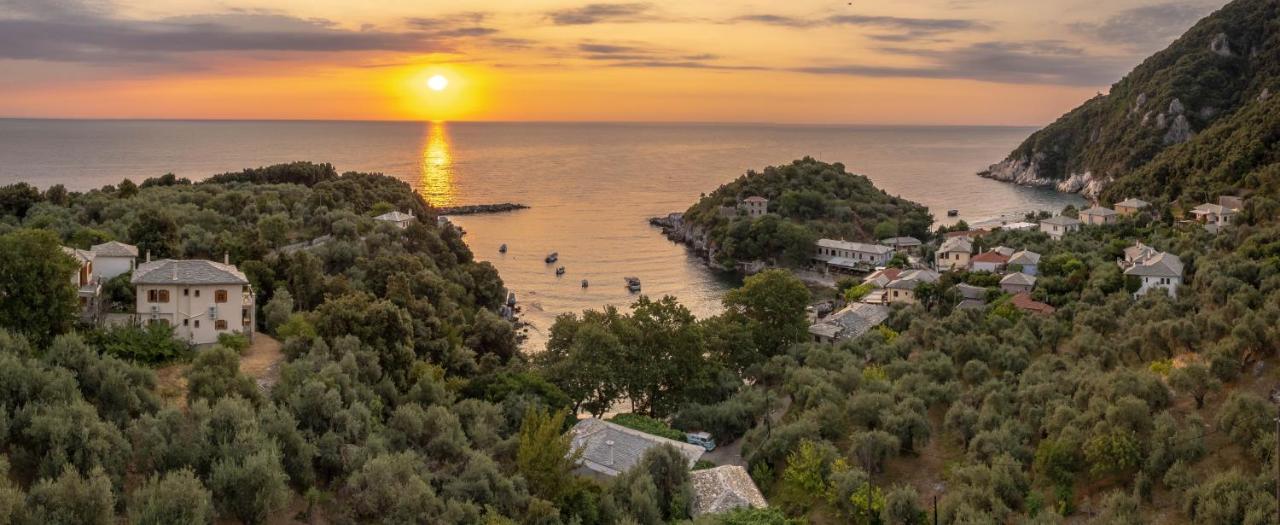 Olive House In Damouchari With A Sea View - Delicious Houses Luaran gambar